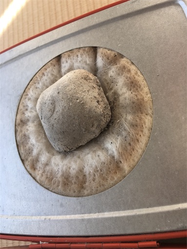 f:id:cozynest:20201104232912j:plain f:id:cozynest:20201104232912j:plain