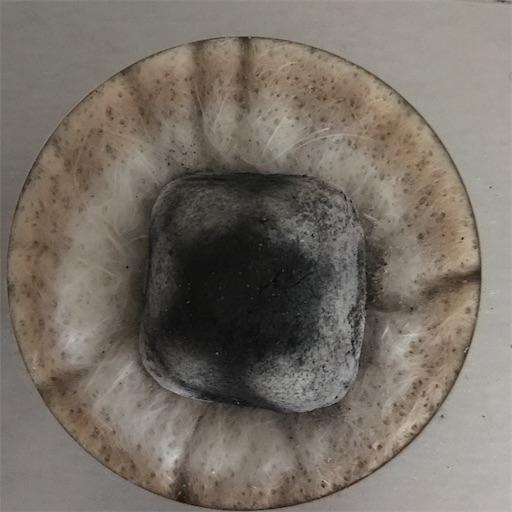 f:id:cozynest:20201109123549j:plain f:id:cozynest:20201109123549j:plain