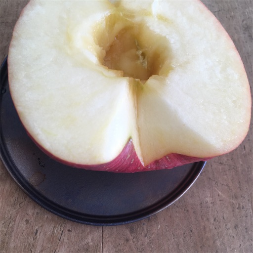 f:id:cozynest:20201216114420j:plain