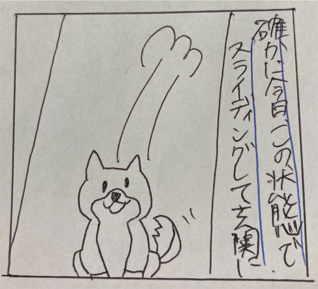 f:id:cpetsuko:20220627215135j:image