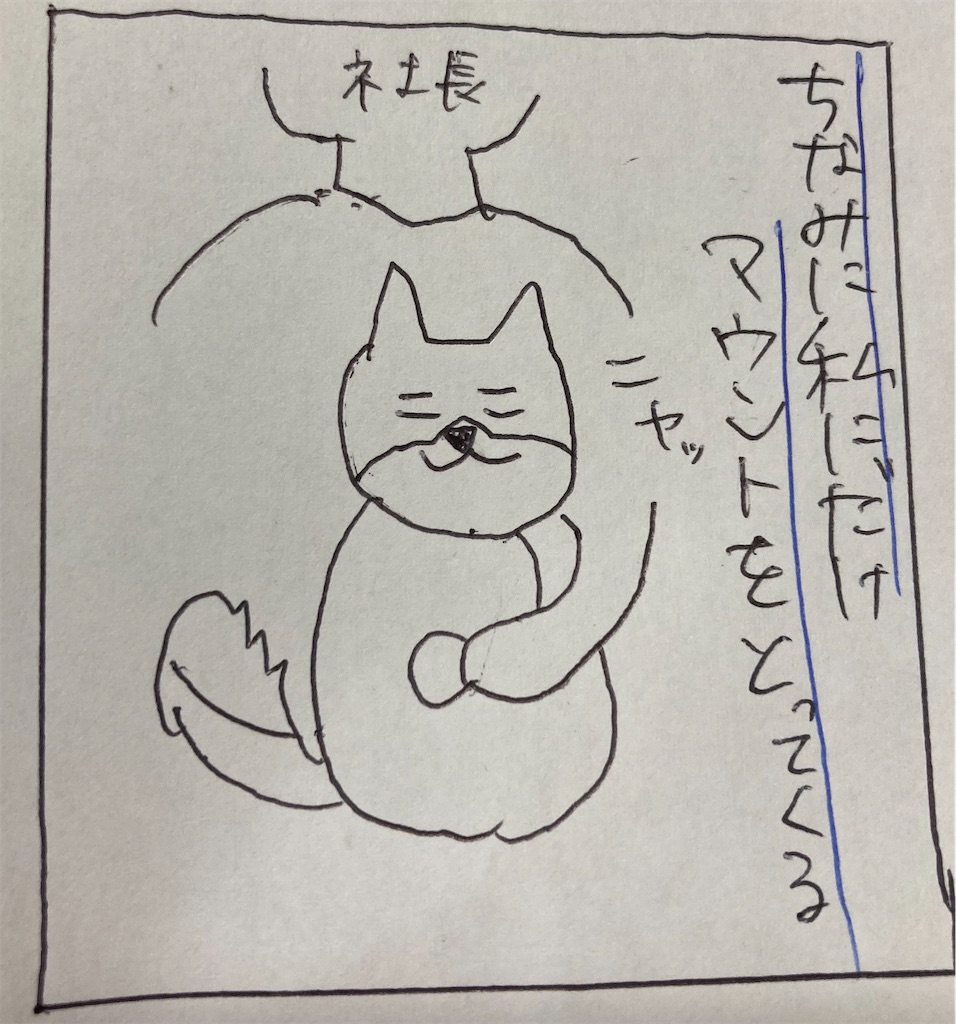 f:id:cpetsuko:20220627215145j:image