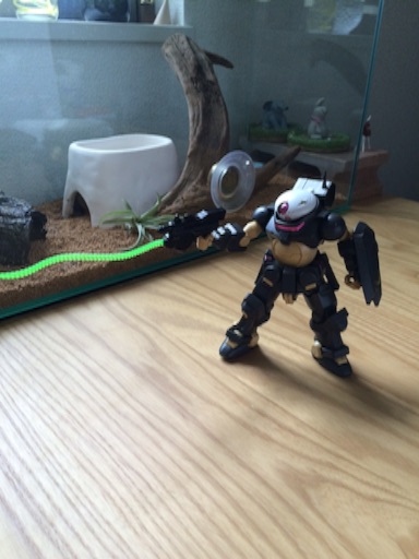f:id:cr-taku:20150917001413j:image f:id:cr-taku:20150917001413j:image