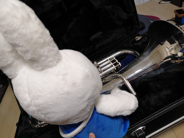 f:id:cradle_euph:20200731165854j:image f:id:cradle_euph:20200731165854j:image