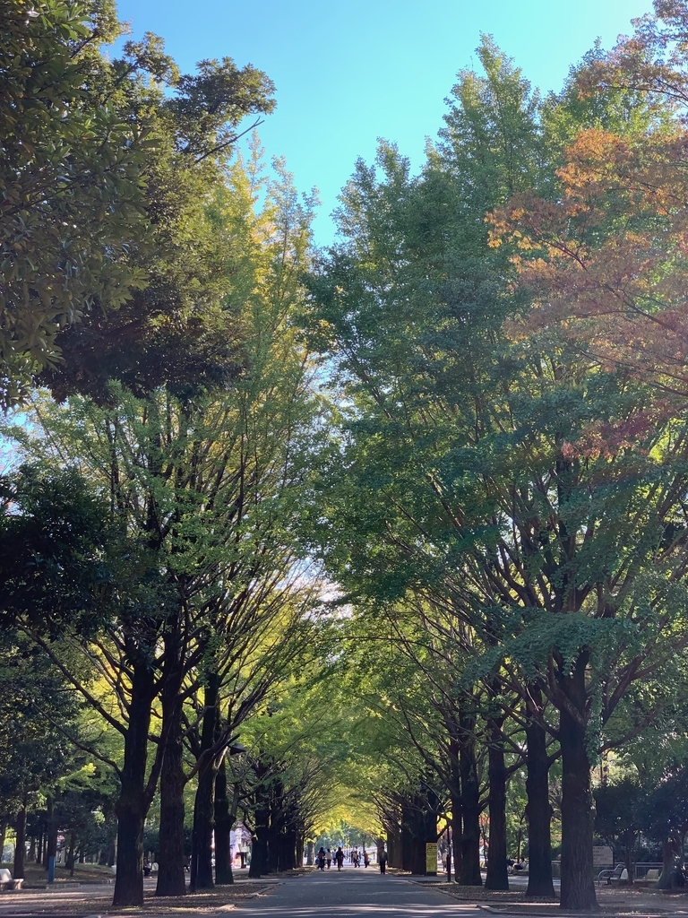 f:id:craftzdog:20181101190454j:plain