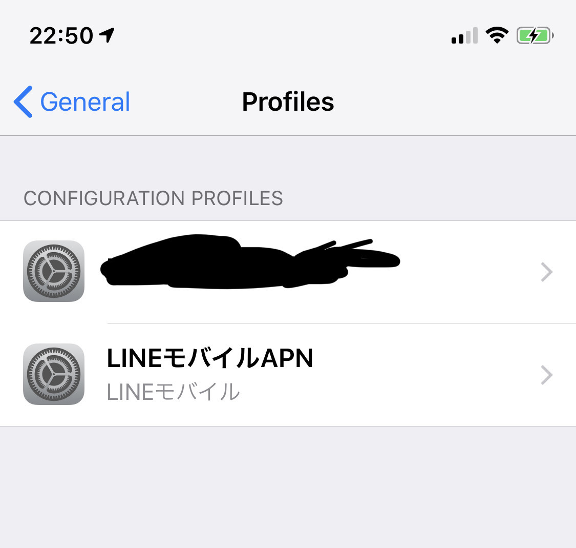 f:id:craftzdog:20190621225131j:plain APNプロファイル