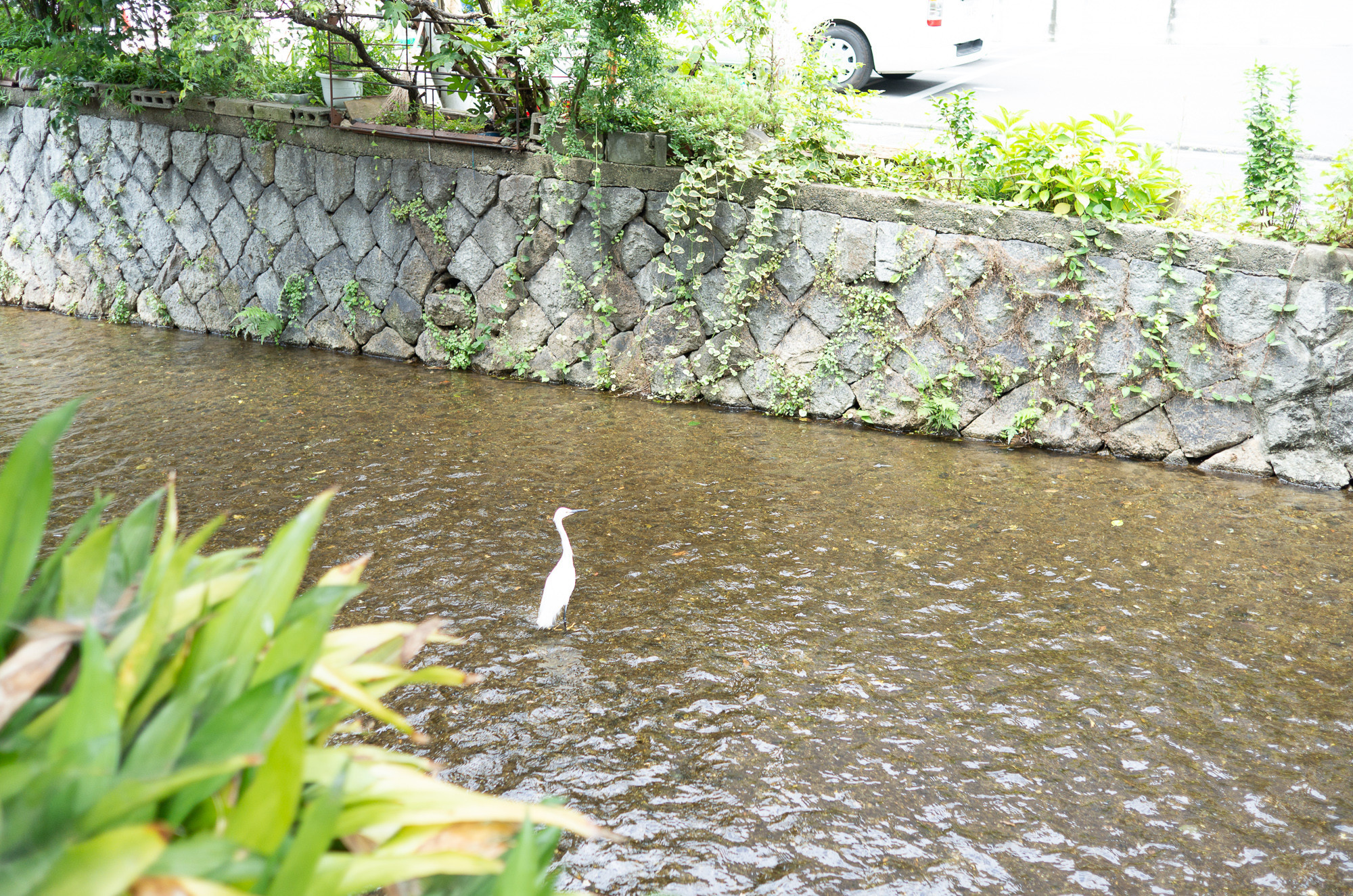 f:id:craftzdog:20190730214038j:plain