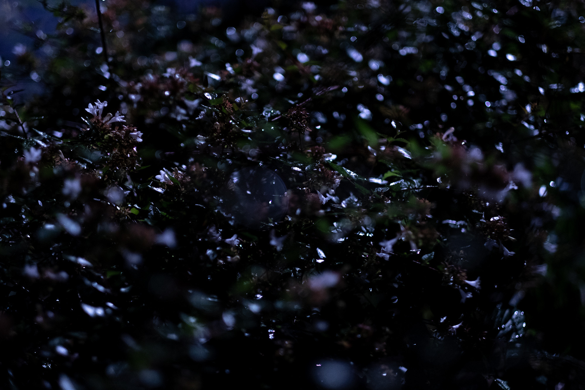 f:id:craftzdog:20190911205732j:plain