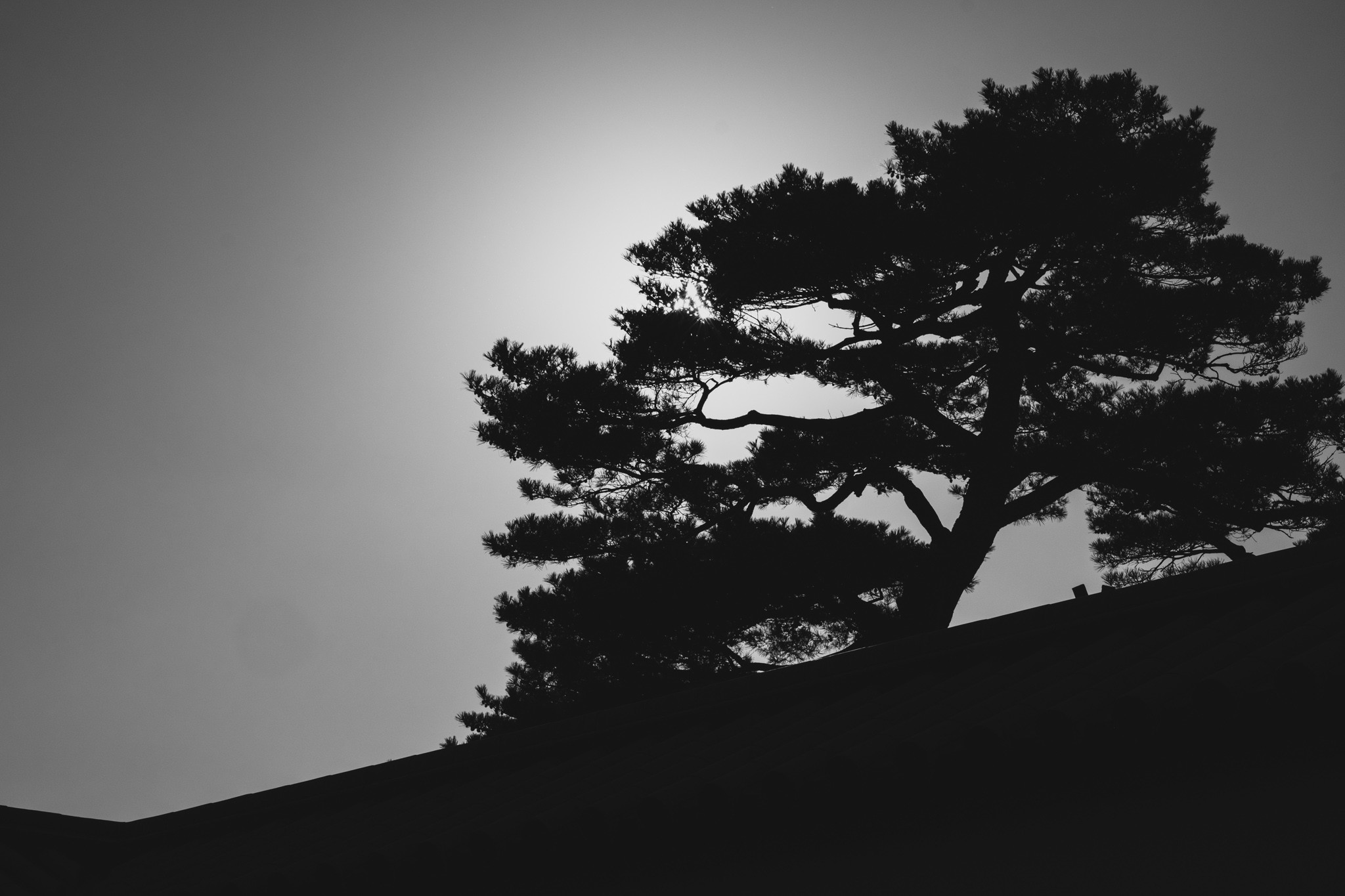 f:id:craftzdog:20200218215019j:plain f:id:craftzdog:20200218215019j:plain