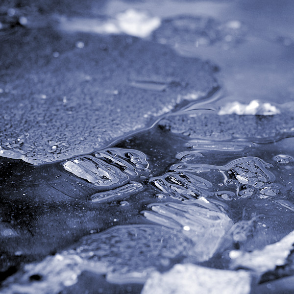 f:id:cranberryca:20160302004053j:plain