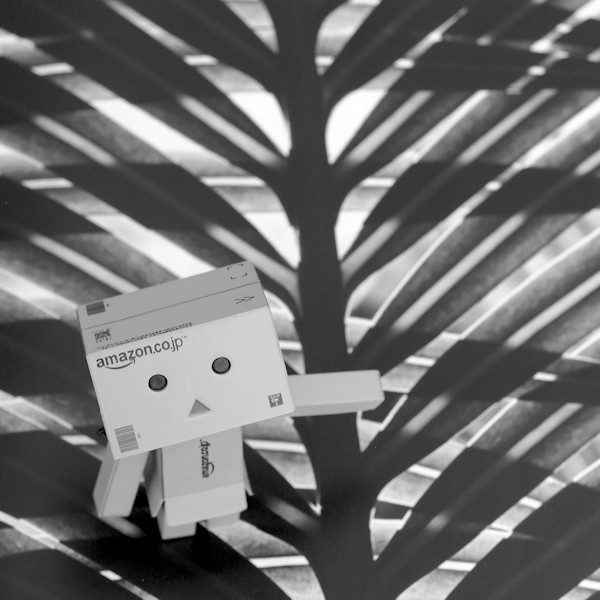 f:id:cranberryca:20160310033013j:plain