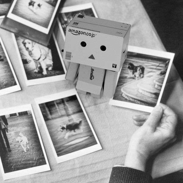 f:id:cranberryca:20160310033705j:plain