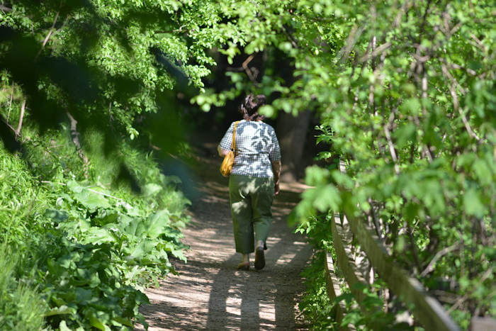 f:id:cranberryca:20160613232748j:plain