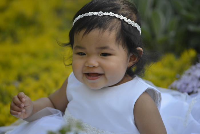 f:id:cranberryca:20160616024951j:plain