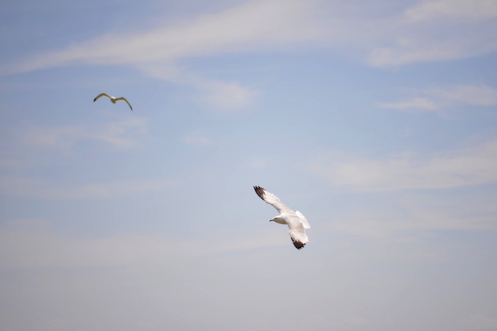 f:id:cranberryca:20160622014911j:plain