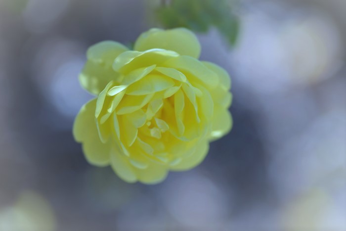 f:id:cranberryca:20160808234020j:plain