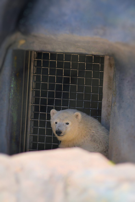 f:id:cranberryca:20160809111448j:plain