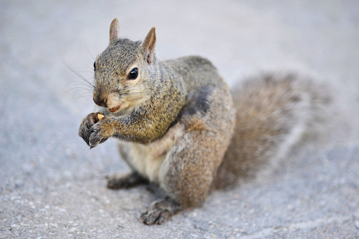 f:id:cranberryca:20160810224516j:plain