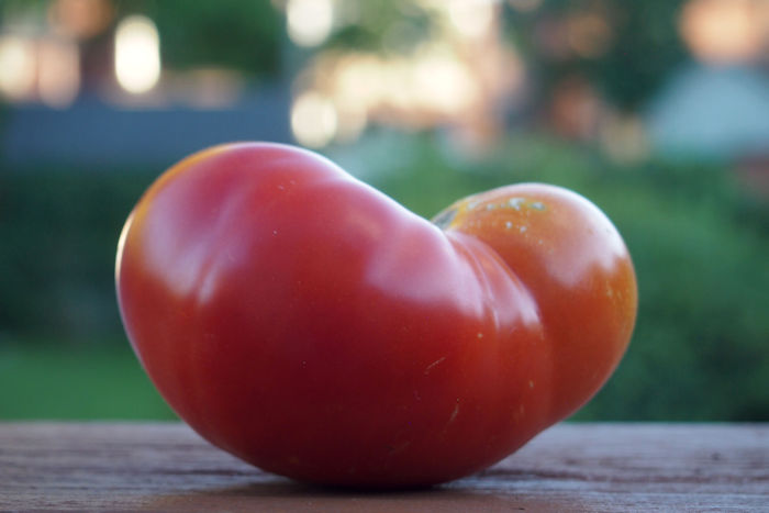 f:id:cranberryca:20160916233039j:plain