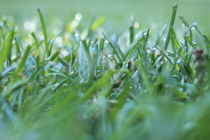 f:id:cranberryca:20160920000607j:plain