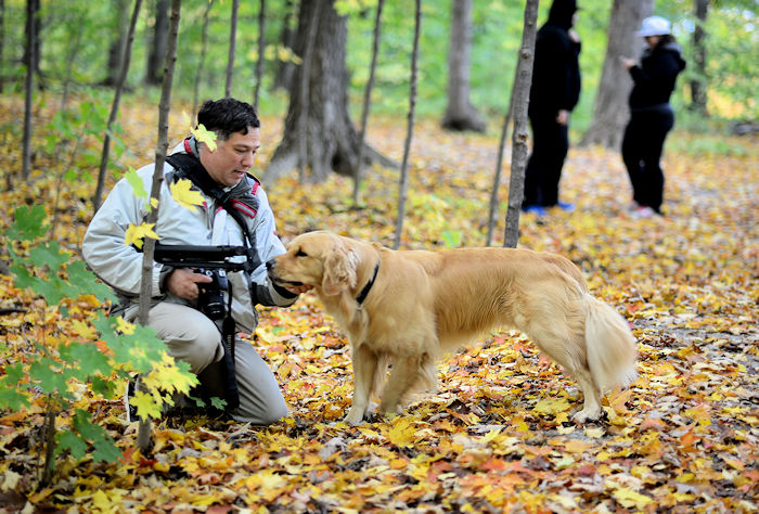 f:id:cranberryca:20161025130058j:plain