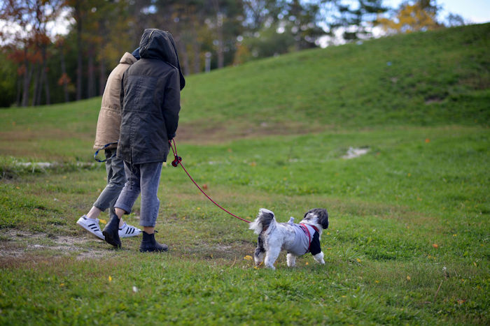 f:id:cranberryca:20161025130501j:plain