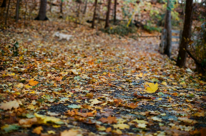 f:id:cranberryca:20161102235758j:plain