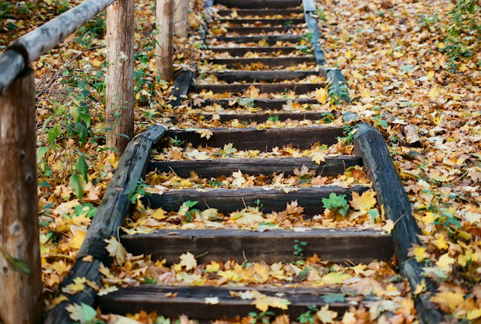 f:id:cranberryca:20161102235810j:plain