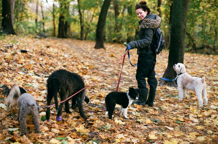 f:id:cranberryca:20161102235821j:plain