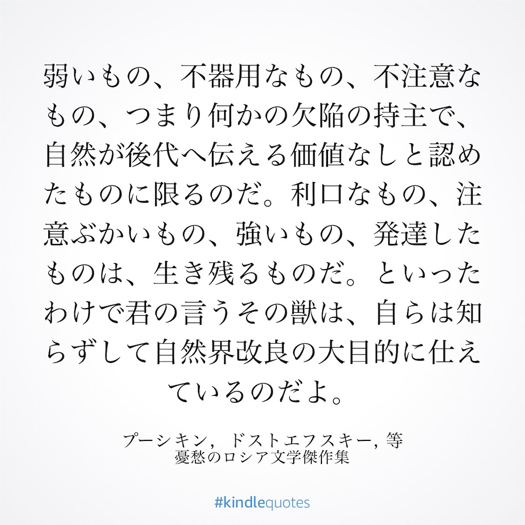 f:id:crazy-tamako:20230606090514j:image