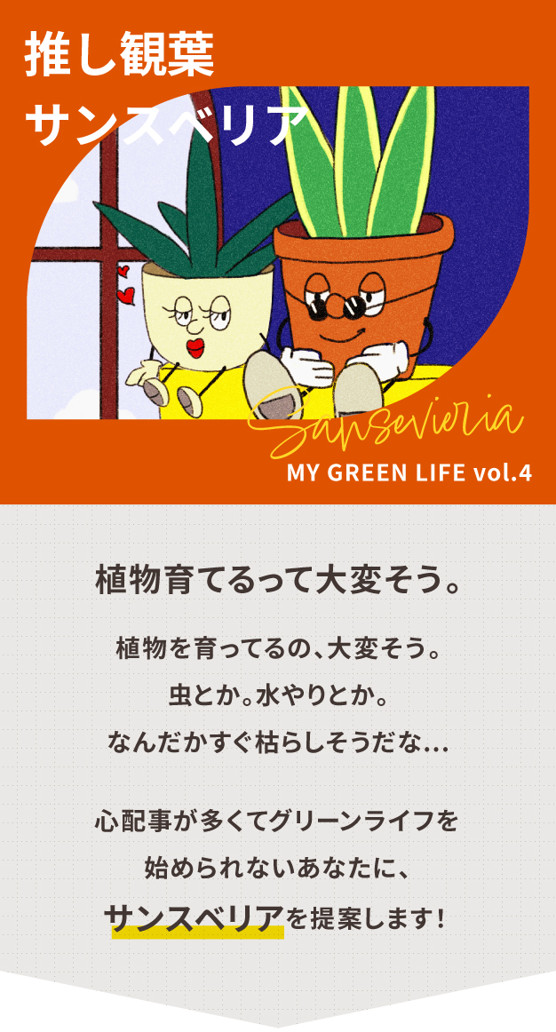 サンセベリア Bigme B751C サンスベリアの育て方と特徴 - Crazy wife, Crazy life