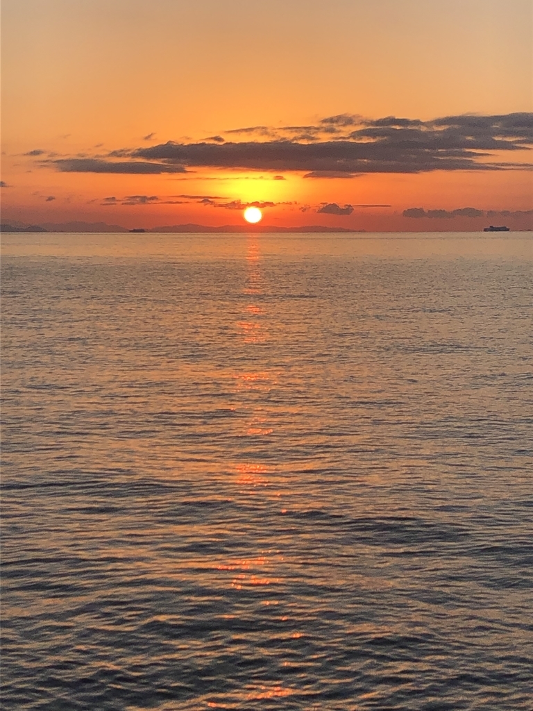 f:id:crazyangler1091:20190108110338j:plain