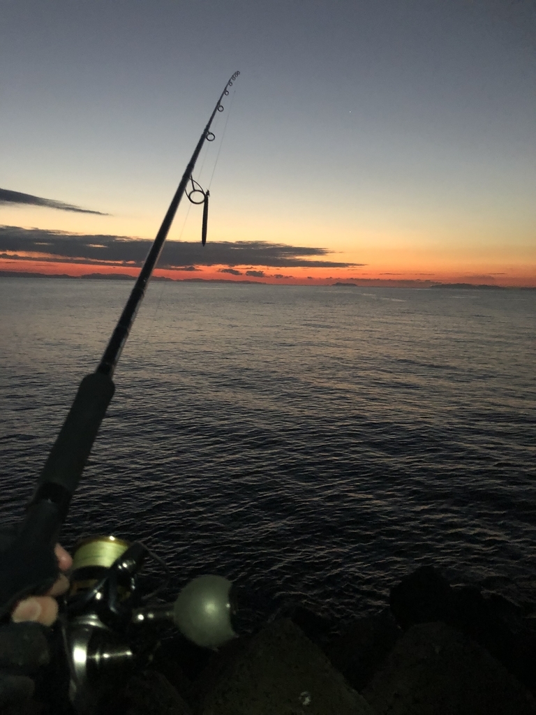 f:id:crazyangler1091:20190108110400j:plain