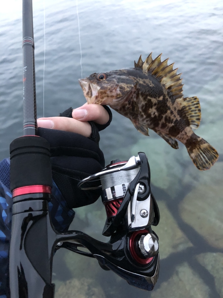 f:id:crazyangler1091:20190108113244j:plain