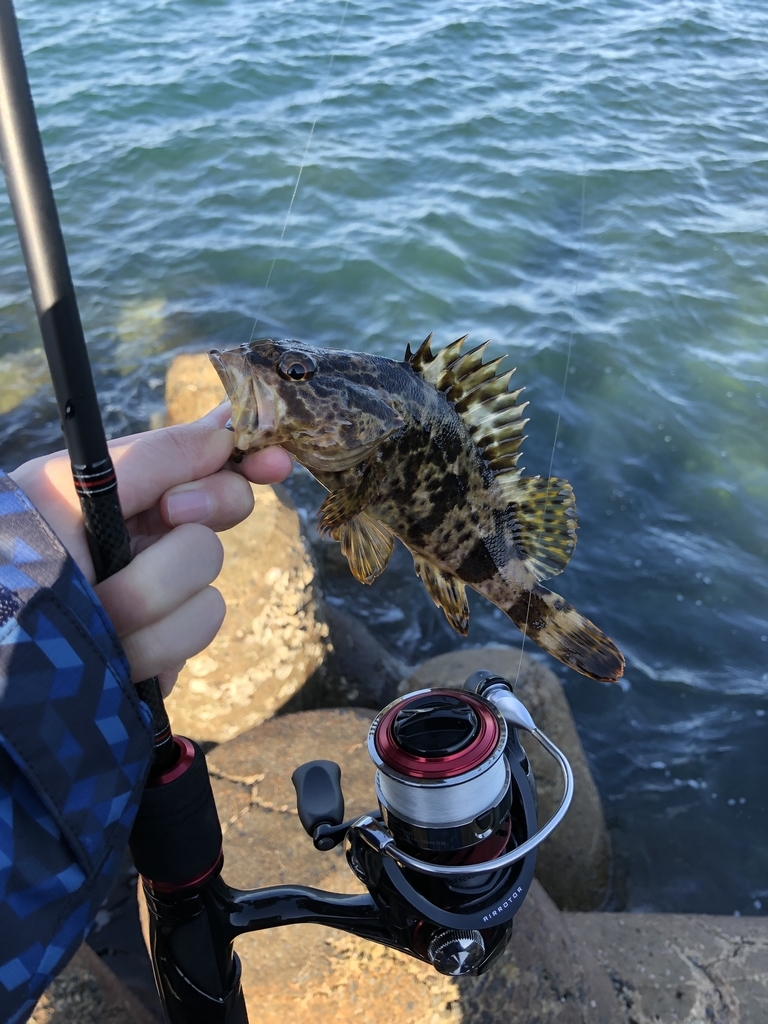 f:id:crazyangler1091:20190108113316j:plain