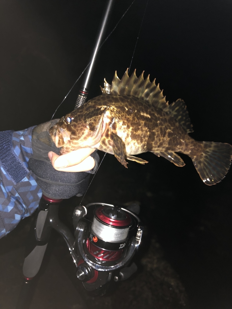 f:id:crazyangler1091:20190108113351j:plain