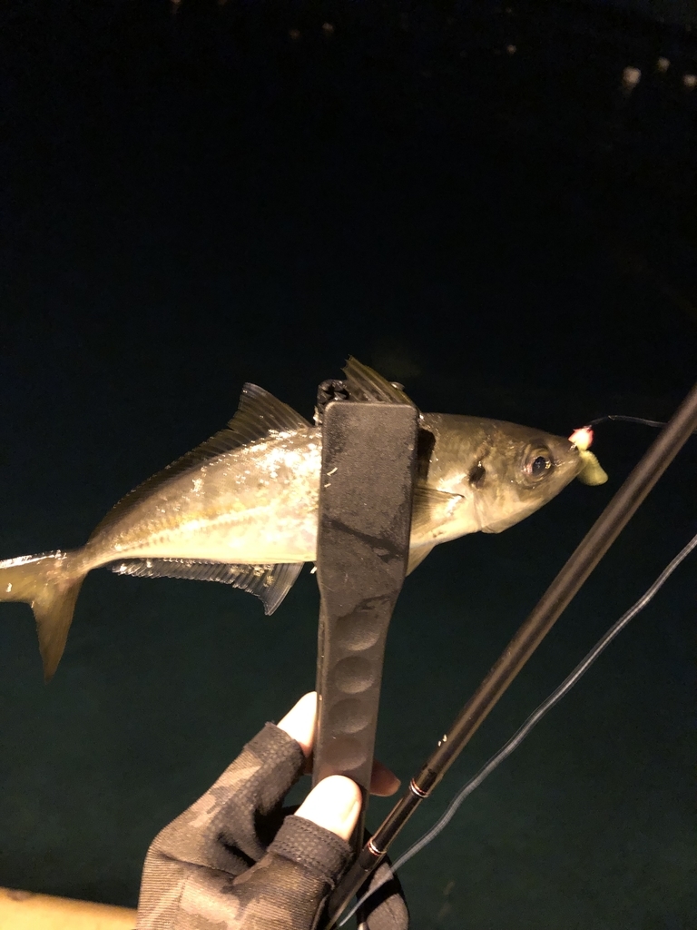f:id:crazyangler1091:20190108143555j:plain