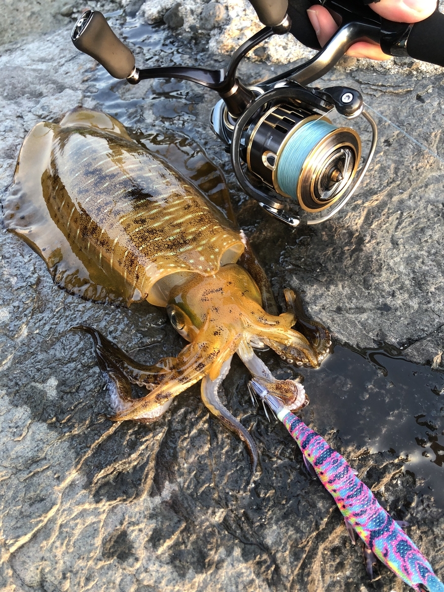 f:id:crazyangler1091:20190408161030j:plain
