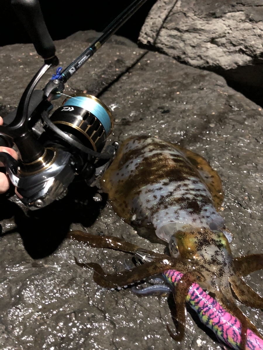 f:id:crazyangler1091:20190409104217j:plain
