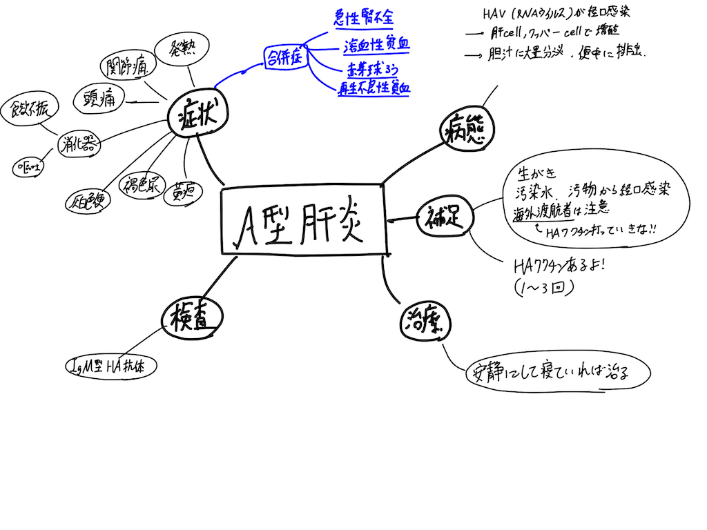 f:id:crazyatlas:20200313001527p:image