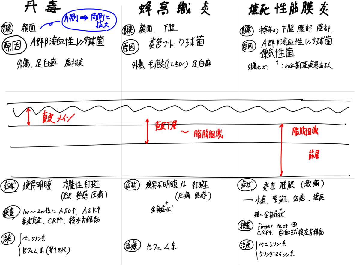 f:id:crazyatlas:20200321022249p:plain