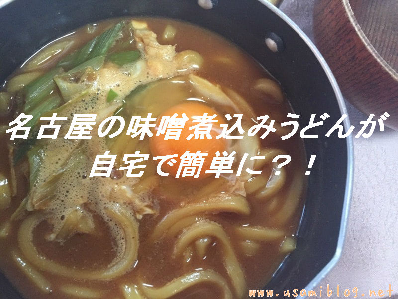 味噌煮込みうどん