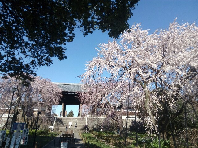 f:id:createman:20190324222521j:image