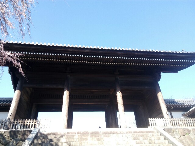 f:id:createman:20190324222613j:image