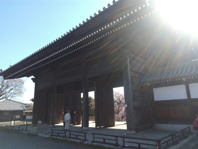 f:id:createman:20190324222641j:image