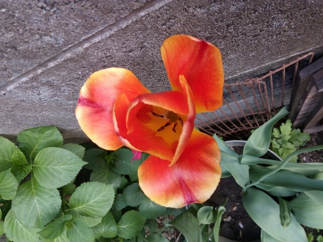 f:id:createman:20190423201614j:image