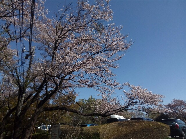 f:id:createman:20190424045134j:image