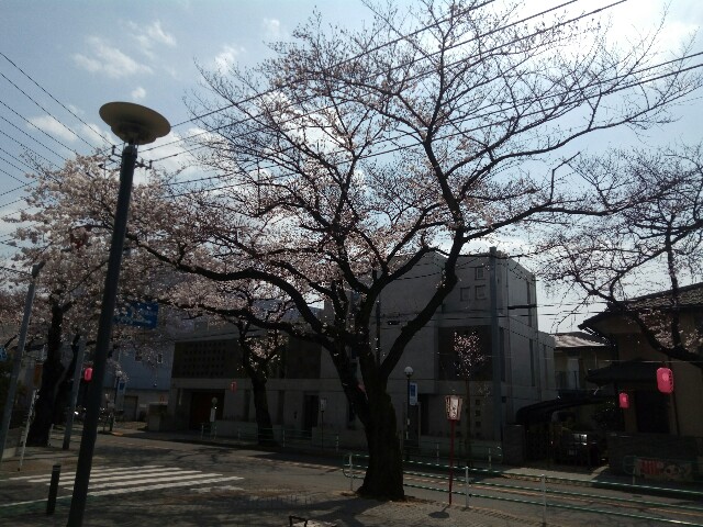 f:id:createman:20190424045157j:image