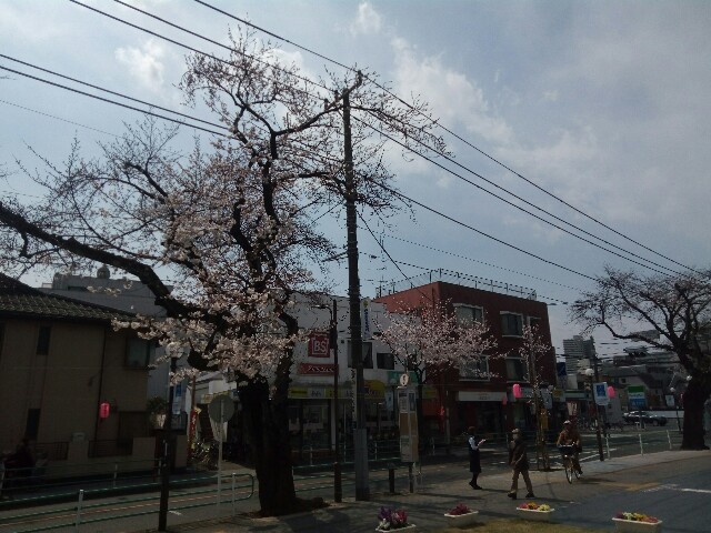 f:id:createman:20190424045252j:image