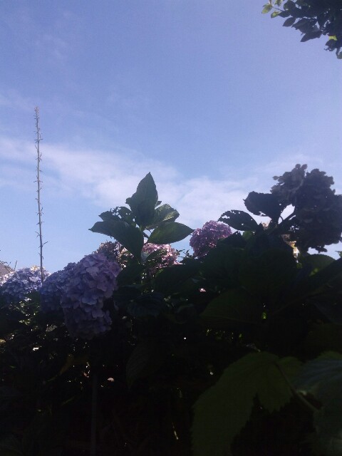 f:id:createman:20190723143826j:image f:id:createman:20190723143826j:image