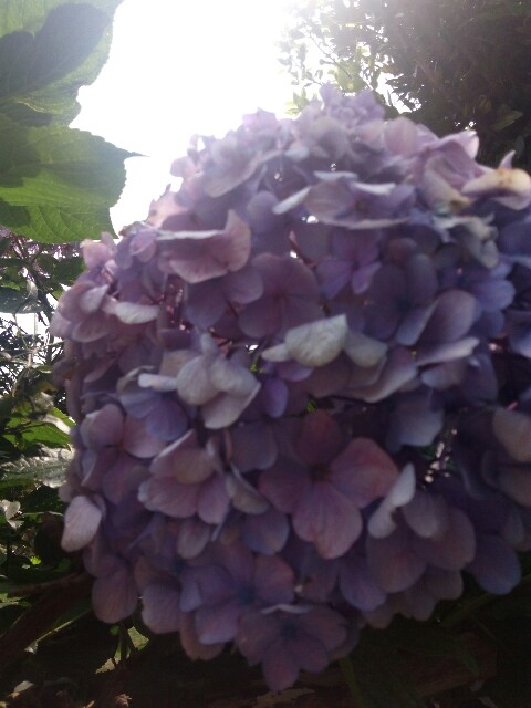 f:id:createman:20190725131158j:image